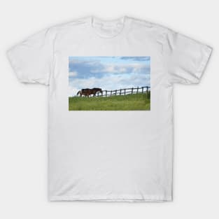 Morning In the Paddock T-Shirt